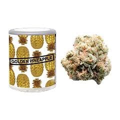 Golden Pineapple