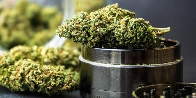 Ground cannabis next to a metal grinder, illustrating the preparation of Sativa or Indica strains for consumption.