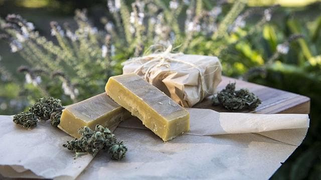 Jars of cannabis-infused cooking oil and butter set among fresh green leaves, signifying the preparation of cannabis for culinary use.