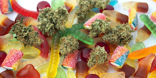 An assortment of colorful cannabis-infused gummy edibles, representing the diverse forms and flavors available.