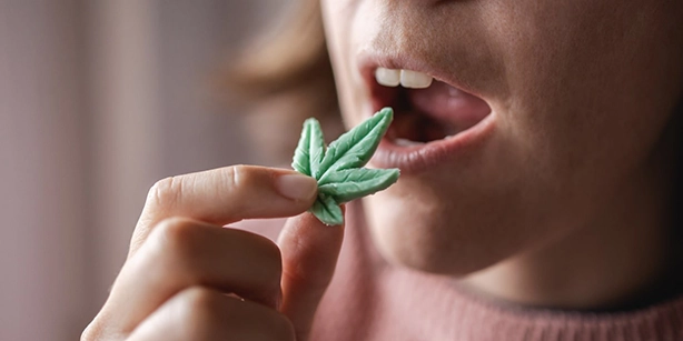 An individual about to consume a cannabis-infused edible, illustrating the onset of the edible experience.