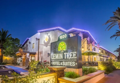 Comfortable Stays at Lemon Grove Hotels