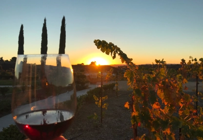 Enjoy a glass in Temecula Valley wine country