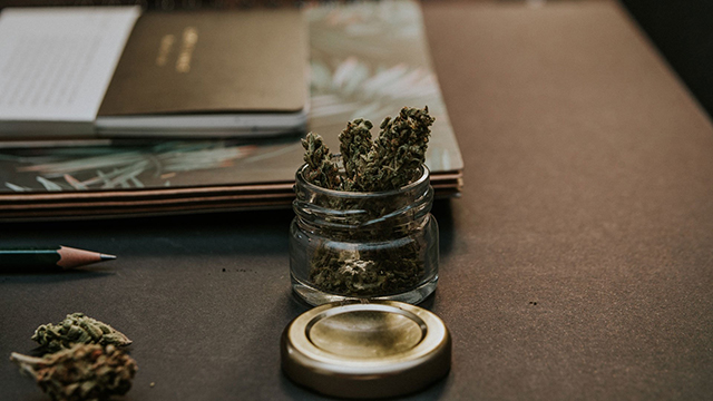 A jar of Sativa cannabis buds resting on an open notebook.