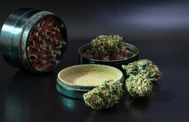 Weed grinder with open compartments containing cannabis bud and kief
