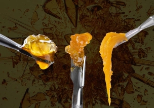 Various forms of cannabis concentrates including resin, rosin, shatter, wax, and more.